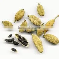 Cardamom Oil photo-3