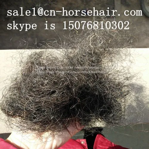 Horse Hair photo-3
