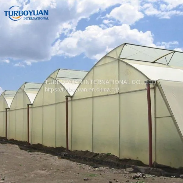 UV Protection Ldpe Plastic Film Tunnel Plastic Greenhouse Film for Agriculture photo-5