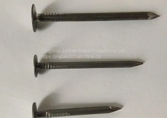 Q195 Polished Common Iron Nail