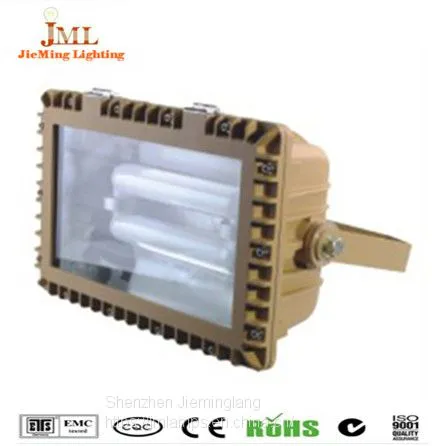 Outdoor Waterproof Explosion-proof Lights 30W 50W Anti-explosion Lamp 80W 60W Safety Lamp 100W 120W 135W photo-4