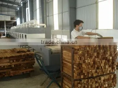 Automatic High Efficient Industrial Conveyor Belt Microwave Dryer photo-2