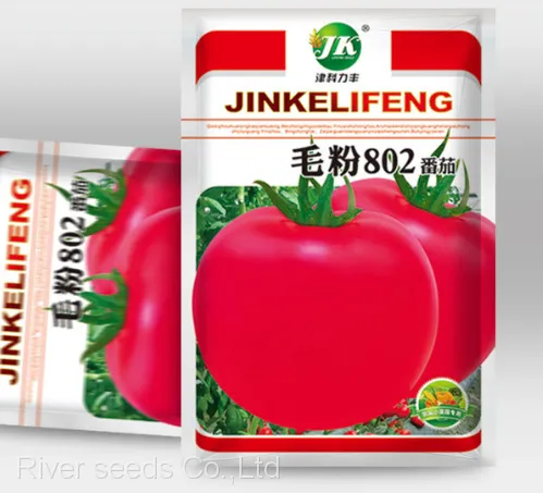 200pcs Bulk Agricultural Vegetable Seeds Supplier Garden Vegetables Hybrid Tomato Seeds for Planting photo-2
