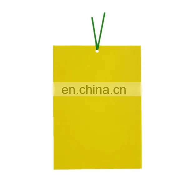 Gelbe Klebrige Falle Piege Collant Jaune Gelbe Klebrige Falle Armadilha Pegajosa Amarela Greenhouse Fly Trap photo-5