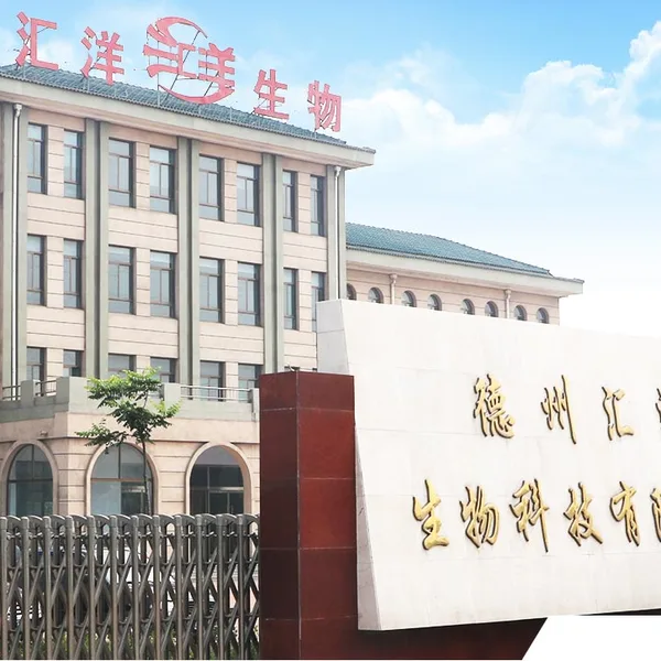 Dezhou Huiyang Biotechnology Co., Ltd. company overview - view 1