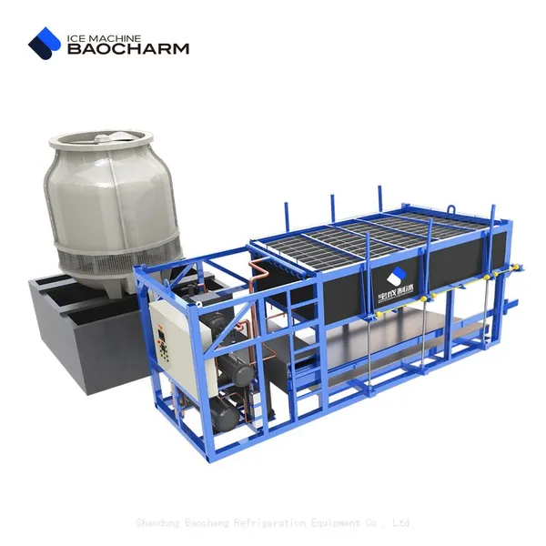 BAOCHARM промышленный блок - ледовый аппарат с дневной производительностью 10 тонн в Южной Африке