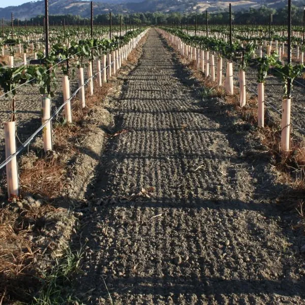 Tree Guard of UV Treated PP Plastic Correx Sapling Tree Guard/Tree Set/Tree Shelters Sheet photo-4