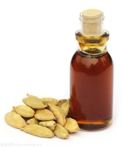 10-30L Cardamom Essential Oil Extraction Distillation Equipment photo-4