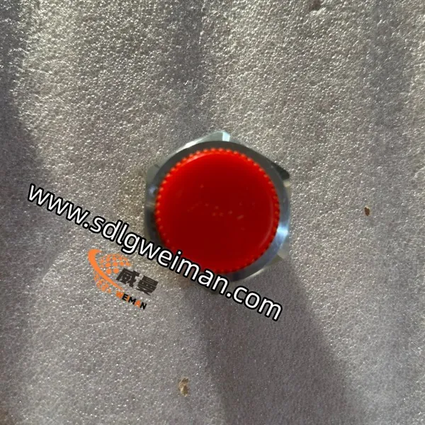 Original Hyundai P290‑100106 Plug‑Cap for Excavator