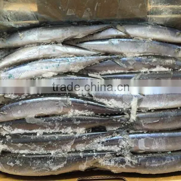 2015 Seafrozen Pacific Saury Whole Round 1#:120-140g/pc