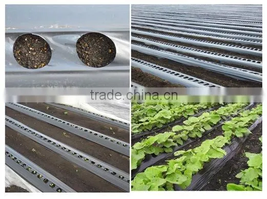 Non-woven Landscape Ground Cover Supplier photo-3