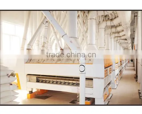Complete Set Wheat Flour Milling Machinery With 200 TPD Capacity photo-3
