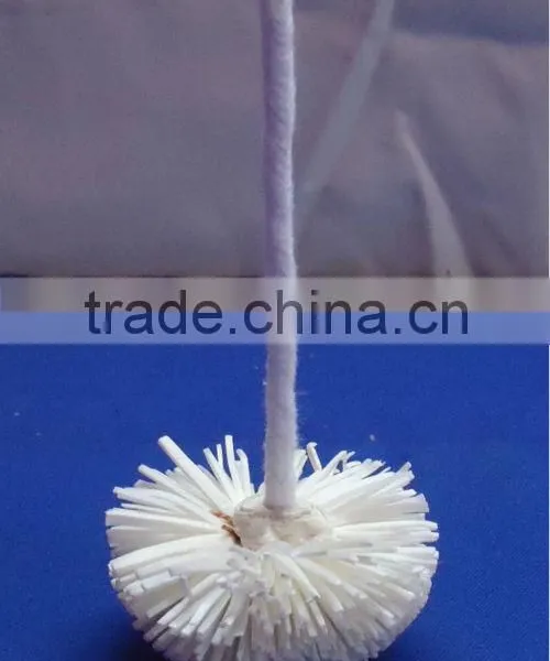 Sola Flower photo-4