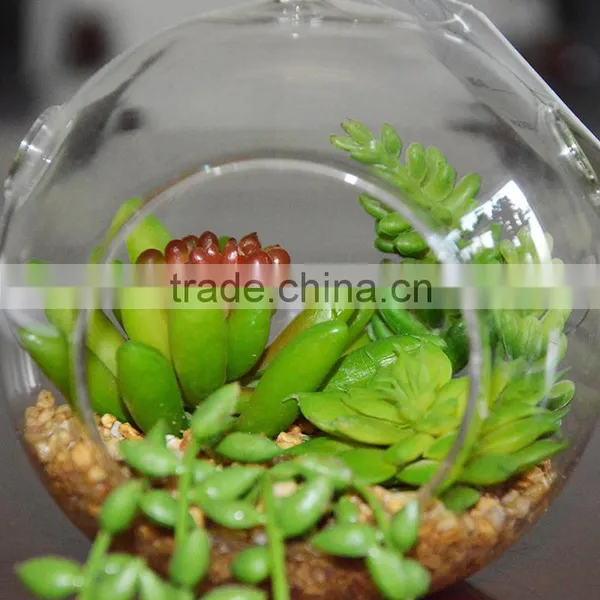 Artificial Succulent Plant Glass Globe Hanging Terrarium photo-3