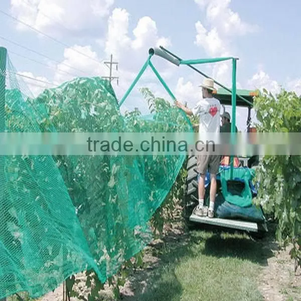 Apple Tree Anti Hai Netting photo-6