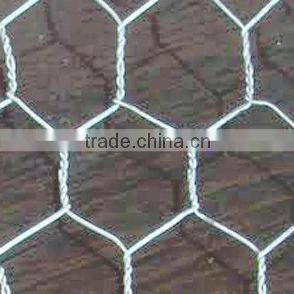 Green/ Black Pvc Coated Lowest Price Chicken Wire Mesh photo-4