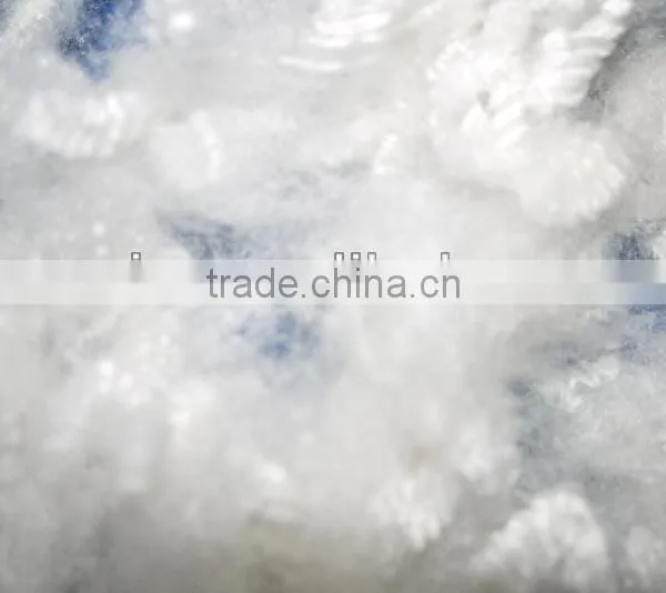 Polyester Staple Fiber