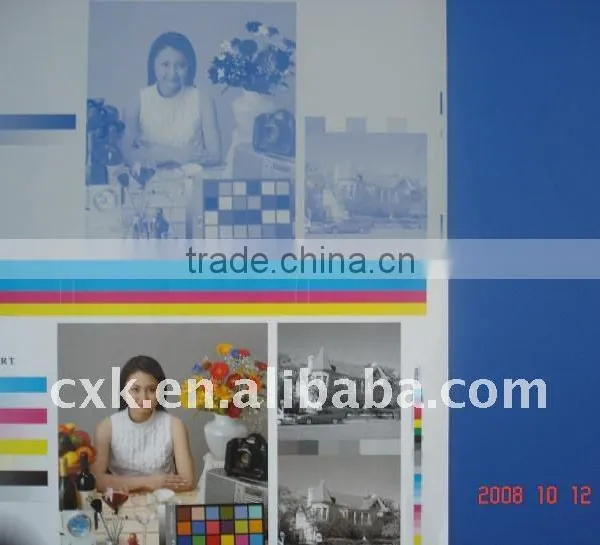 Ctp Printing Plate