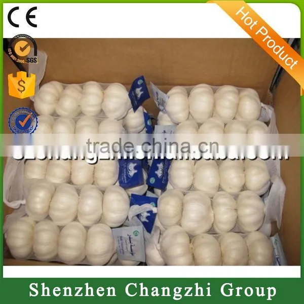 2016 Fresh Garlic for Sale