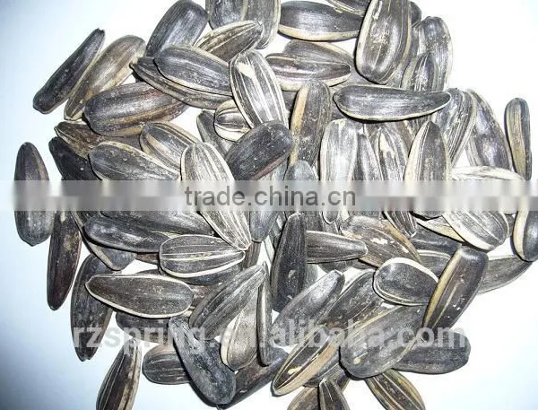 BLACK SUNFLOWER SEEDS photo-3