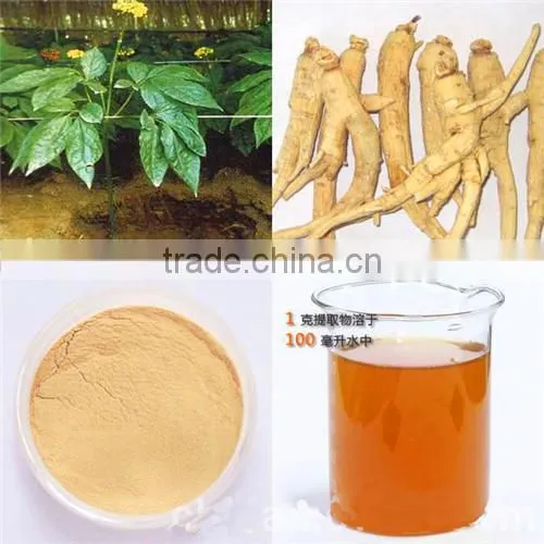 Pure Organic Ashwagandha Extract photo-2