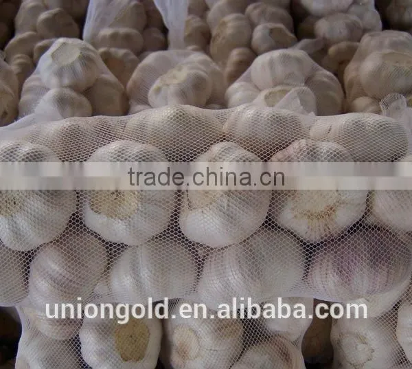 2016 New Crop Natural White Garlic in Purple Mesh Bag photo-3