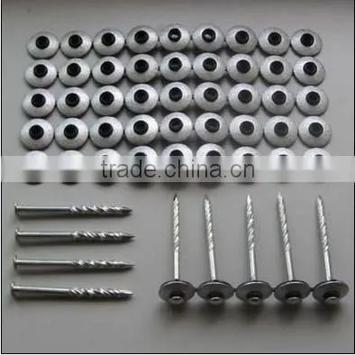 Common Nails With Good Quality photo-3