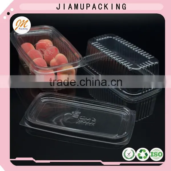 Made in China Clear PET Blister Packaging photo-4