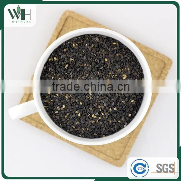 Paraguayan Sesame Seeds Manufacturers photo-3