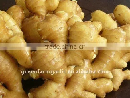 Fresh Ginger,Yellow Ginger