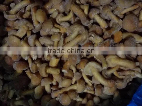 2016 Hot Selling Dried Mushroom With Reasonable Price and Fast Delivery photo-6