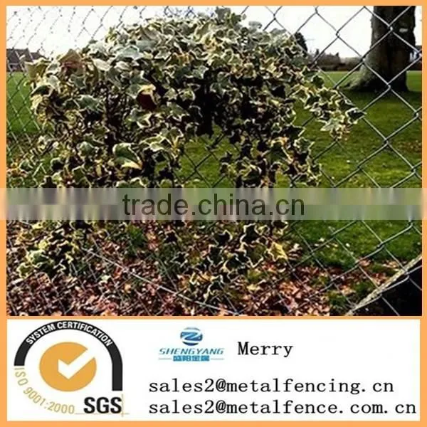 Hot Sale Galvanized or Pvc Coated Chain Link Rhombus Wire Mesh Fence photo-4