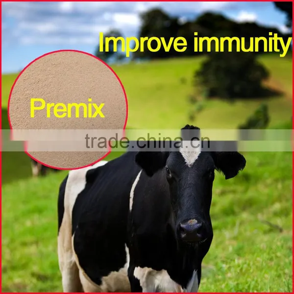 Calf Feed for the Cow , Cattle