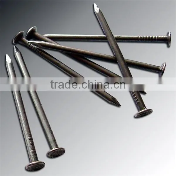 China Manufacturers Supply of Common Nails Polished for Wood photo-6
