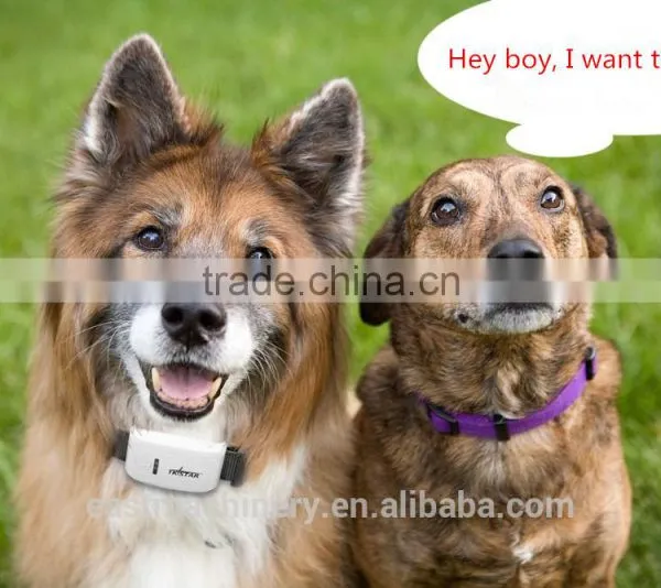 2016 Hot Sale Waterproof GPS Tracker For Pet Mini Pet GPS Tracker 2016 photo-3