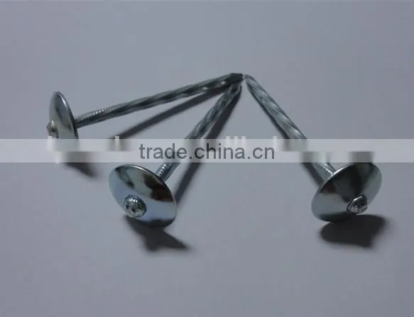 Cheaper Price Galvanized Roofing Nail With Umbrella Head photo-5