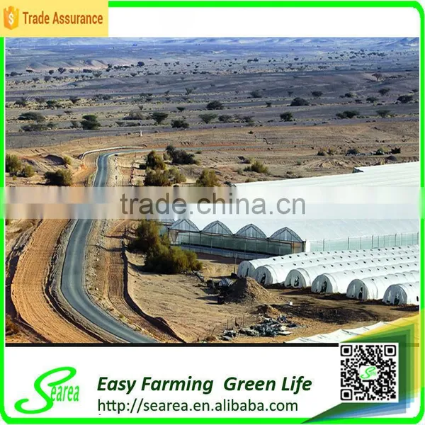 Multi-span Open Roof Green Houses photo-2