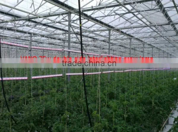 Vanq 110V Double-side Emitting 75W LED Grow Light Bar for Tomato photo-2