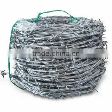 Good Quality and Hot Sales Barbed Wire photo-3