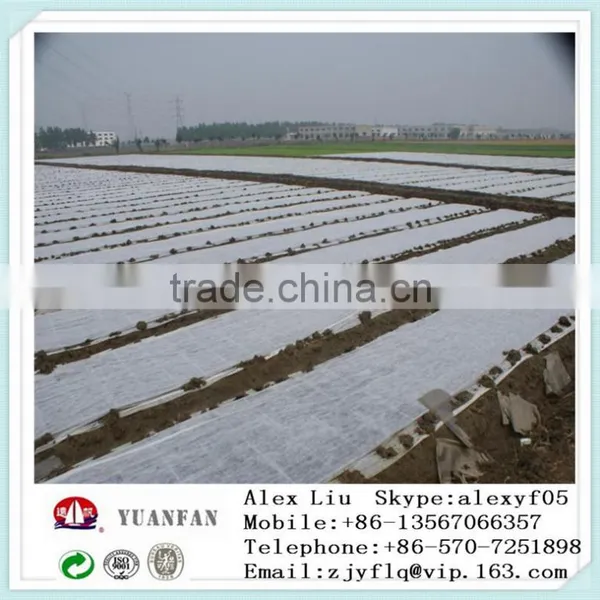 Anti-UV White pp Non Woven Fabrici Used in Plant Cover photo-5