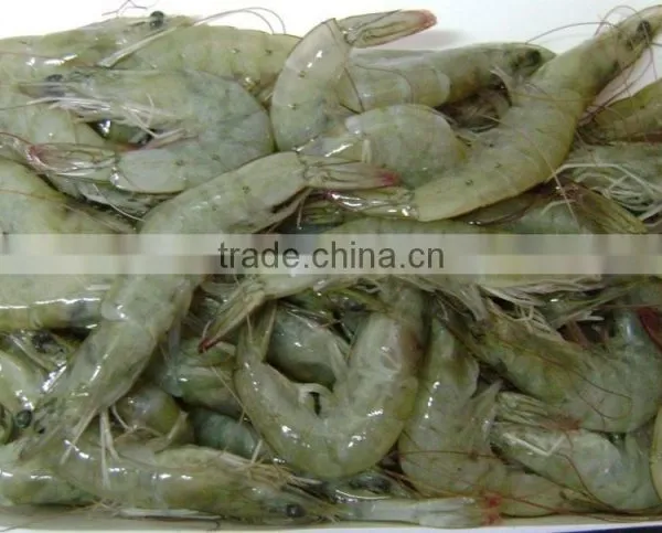 Frozen White Shrimp Vannamei Shrimp Hoso photo-6
