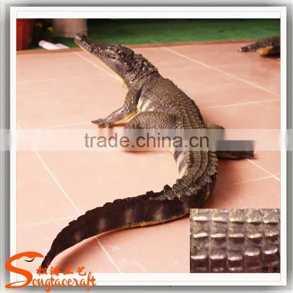 Artificial Antique Statues for Sale Fiberglass Animal Statues photo-3