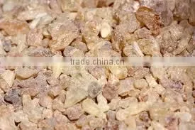 Boswellia Extract photo-4
