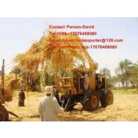 Hongyuan Sugarcane Loader HY-9800 Sugar Cane Grab Loader Working in South Africa photo-2