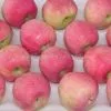 Red Star Apple