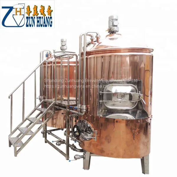 Hot Sale Red Copper Beer Equipment Brewing Machine 300L Beer Brewery Machine photo-3
