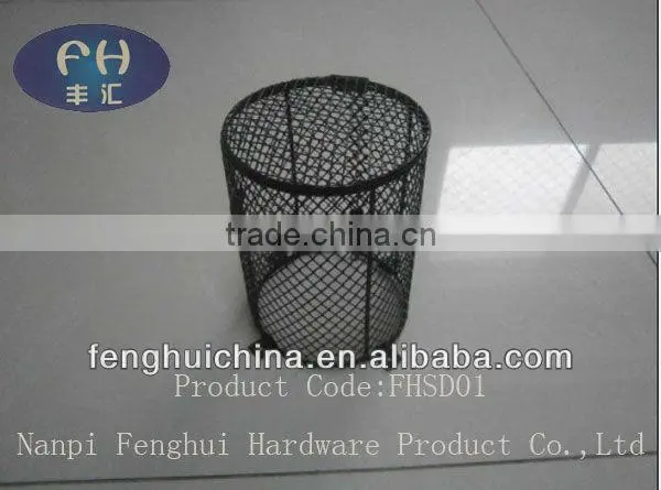 Reptile Product