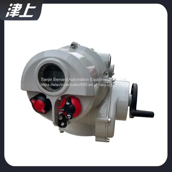 Angular Stroke Electric Actuator IT10 Electric Flow Valve for Cement Plant photo-3