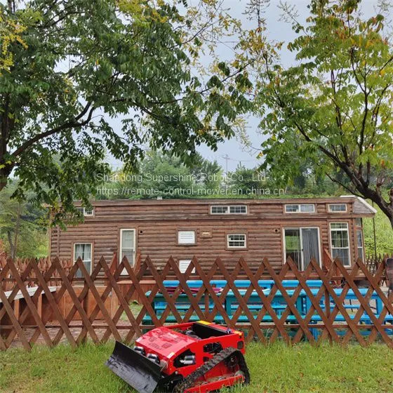 Remote Controlled Lawn Mower, China Rechargeable Brush Cutter Price, Pond Weed Cutter for Sale photo-2