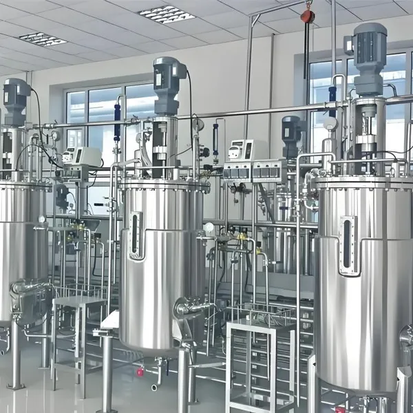 Membranfiltrationsausrüstung für die pharmazeutische Industrie, standardkonforme Konstruktion photo-2